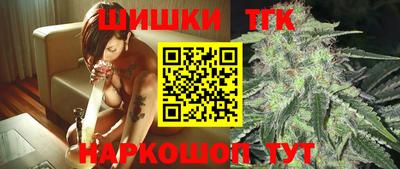 шишки Шелехов